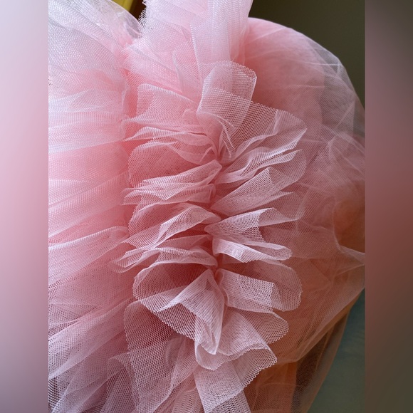 NWOT! Mesh Petal Sleeve, Round Neck, Casual T-Shirt Dress/Straight Mini Dress - Picture 3 of 6